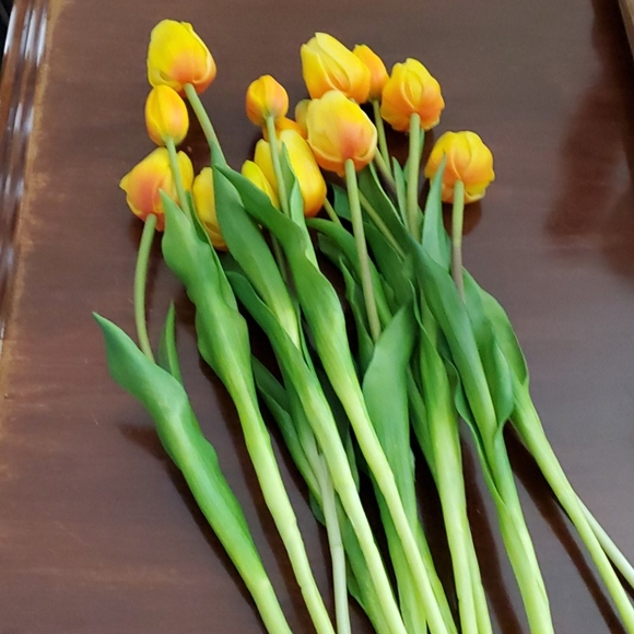 Other - Tulips -Bunch of 14